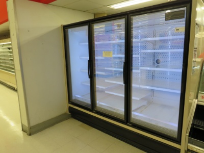 Hill/Phoenix Orz Freezer Door Case '08 - Sold By The Door - Remote, No Compressor