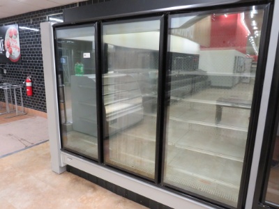 Hill/Phoenix Orz Freezer Door Case 2019 - Sold By The Door - Remote, No Compressor