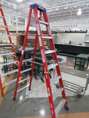 12ft Werner Ladder