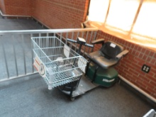 DANE SMARTKART ELECTRIC SHOPPING CART
