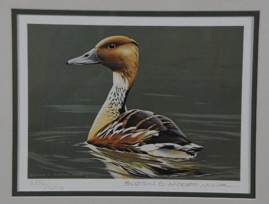 The Federal 1986-1987 Duck Stamp Print- Fulvous Whistling Duck