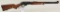 Marlin 336W lever action rifle.