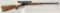 Marlin Original Golden 39A lever action rifle.