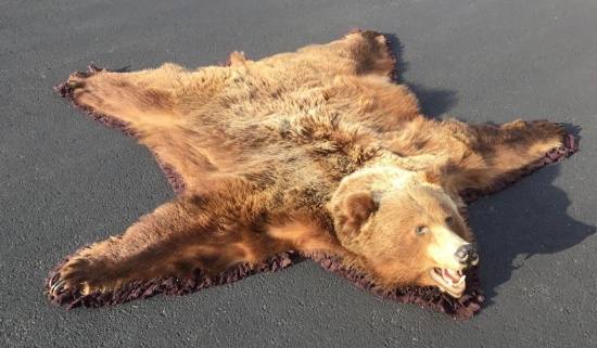 Brown Bear Rug