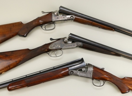 Firearms, Accessories, and Taxidermy Auction