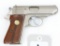 Walther PPK/S semi-automatic pistol.