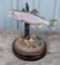 Rainbow Trout Faux Fish Mount