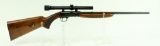 Browning Automatic 22 semi-automatic rifle.