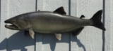 Atlantic Salmon Fish Mount