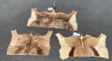 Lot of (3) South African Antelope Pelts