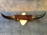 (2) Sets of Bull Horns and a Whitetail Skull Cap Mount