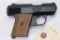 Raven Arms MP-25 semi-automatic pistol.