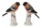 Meissen Porcelain Bird Figurines