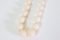 14KY Gold Angel Skin Coral Bead Necklace