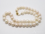 14KY Gold Pearl Necklace