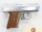 Raven P-25 semi-automatic pistol.
