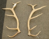 Large pair of Elk Shed Antlers.