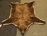 Alaskan Brown Bear Rug.