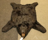 Alaskan Black Bear Rug.