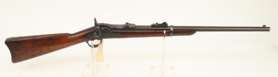 US Trapdoor Carbine-Model 1873