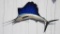 Sailfish Mount