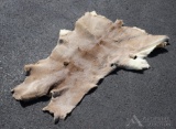Small Tanned Whitetail Deer Hide