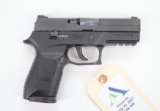 Sig Sauer P250 Semi Automatic Pistol