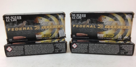 .22-250 Rem Ammo
