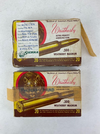 .300 Weatherby Reloads