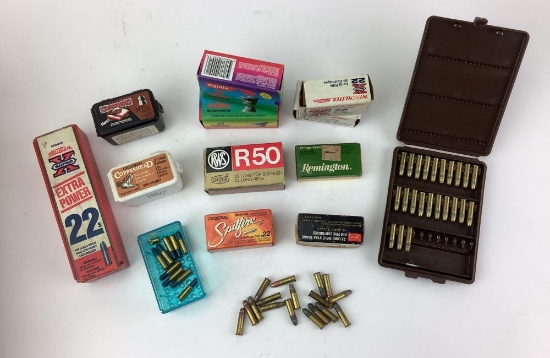.22 Rimfire Ammo Assorted
