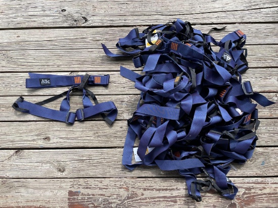 ABC Harnesses