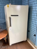 Kenmore Freezer