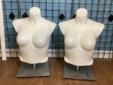 Store Mannequin Torsos