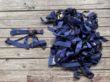 ABC Harnesses