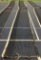 Wilson Tennis Net