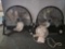 Lasko Floor Fans