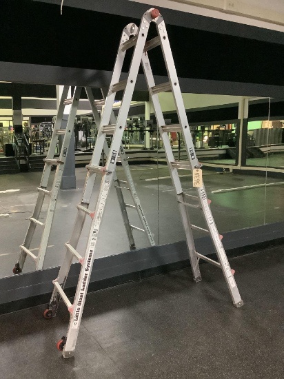 Little Giant Ladder