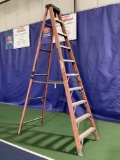 Werner Ladder