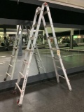 Little Giant Ladder