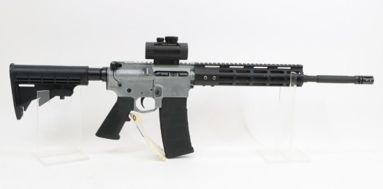 FedArm/FSAAP FR-16 Semi Automatic Rifle