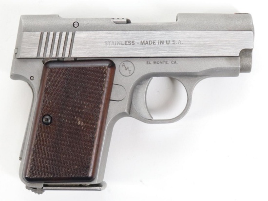 AMT Backup Semi Automatic PIstol