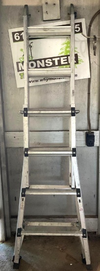 Combination Ladder