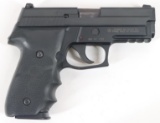Sig Sauer P229 Stainless Semi Automatic Pistol