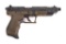 Walther/Smith & Wesson P22 Semi Automatic Pistol