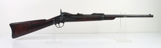 Springfield Model 1884 Trapdoor carbine