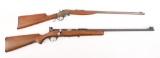 Lot Of 2 Rimfire Rifles