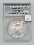 2010 SILVER EAGLE