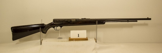JC Higgins, Model 10116, Semi Auto Rifle, 22 cal.