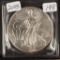 2005 - SILVER EAGLE