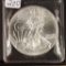 2013 - SILVER EAGLE